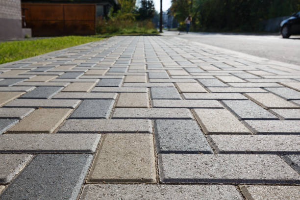 Best Driveway Pavers Contractor  in David City, NE